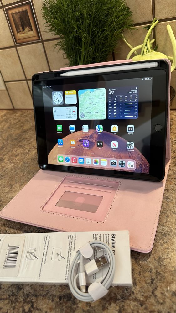 Tablet iPad Apple Retina 10”  - Touch ID - PROCREATE