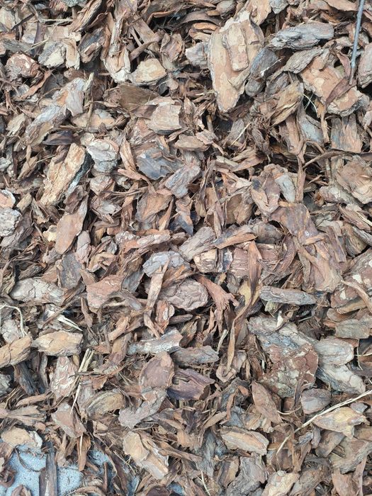 Kora sosnowa Gruba 60l transport