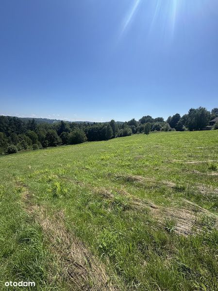 Przestrzeń, cisza i natura – działka 52 ar z WZ