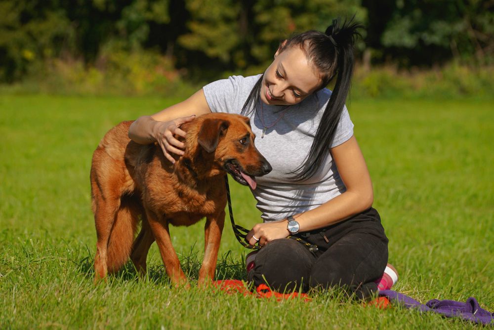 Andrea - śliczna sunia szuka domu