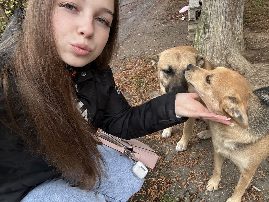 Лагідна собачка Жужа шукає дім! Стерилізація та вакцинація будуть.