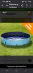 Piscina para cães