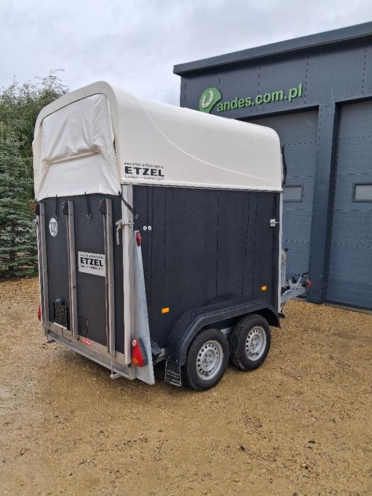 Przyczepa dla koni Meyer Arizona