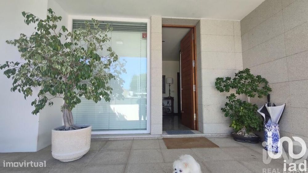 Casa / Villa T4 em Mazedo e Cortes de 258 m2