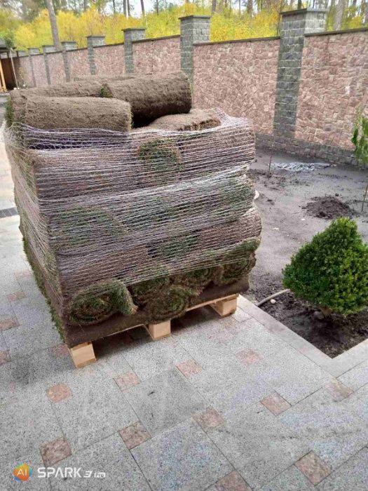 Створення Газону Житомир