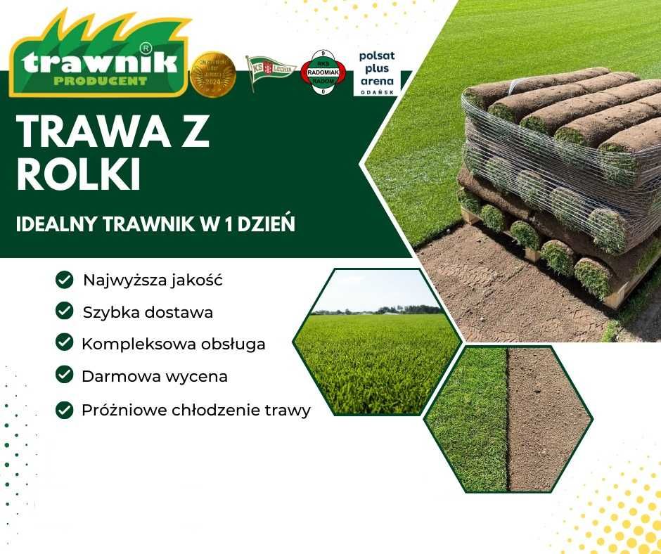 Trawa w rolce z rolki "Trawnik Producent" chłodzona próżniowo POLSKA