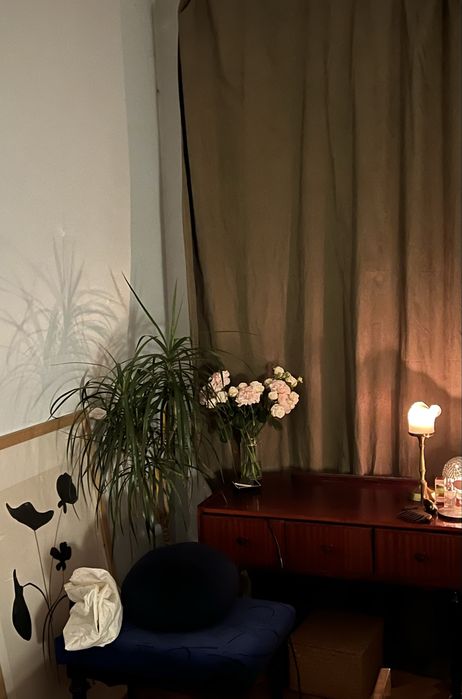 Пальма кімнатна Драцена 1.40см