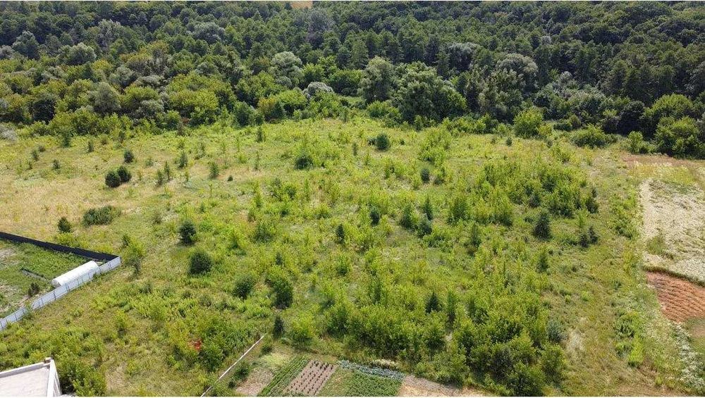 Васильківський рн, с. Рославичі, 0.25 га (600$/100m2)