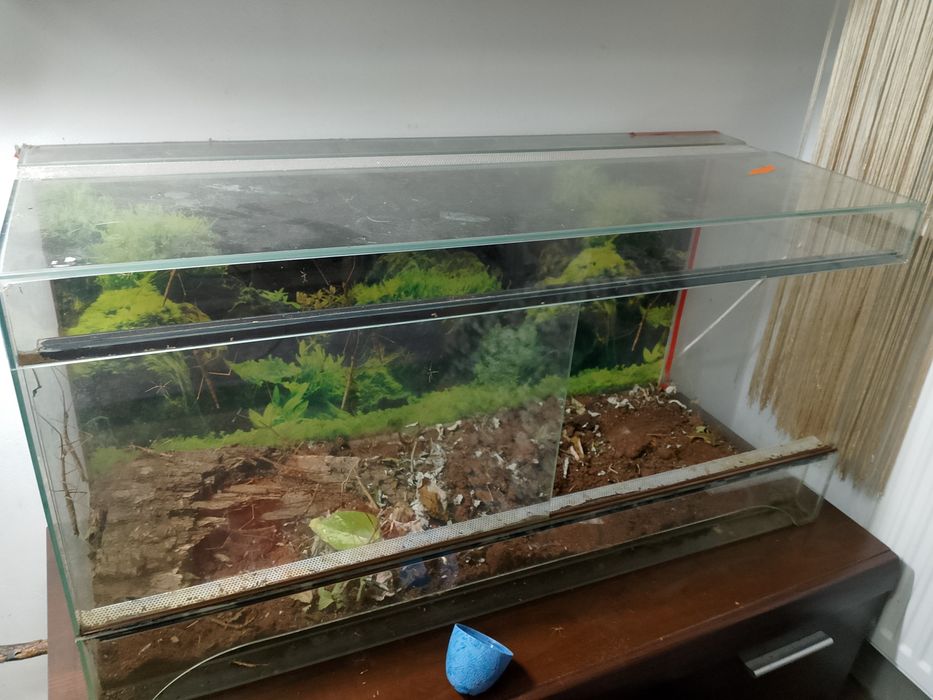 Sprzedam akwarium