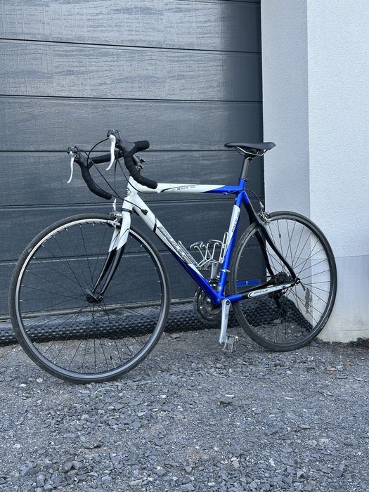 Rower Szosowy Kolarzówka Bulls Race SL Alu