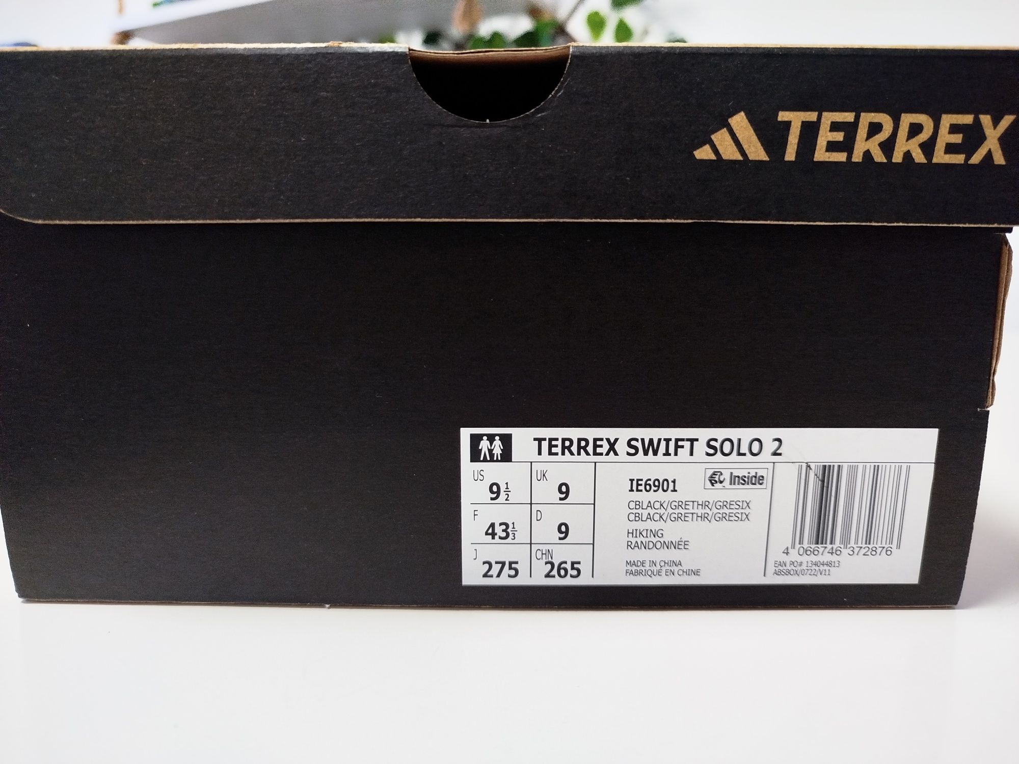 Adidas terrex Swift solo2