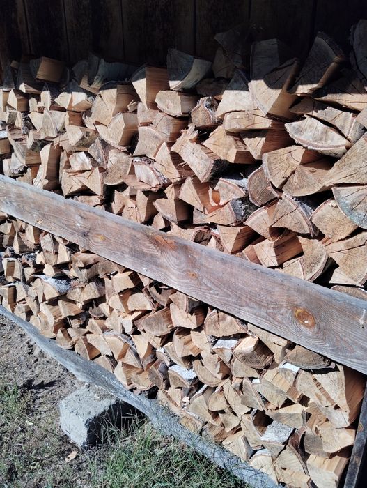 Drzewo opałowe sosna, brzoza, różne