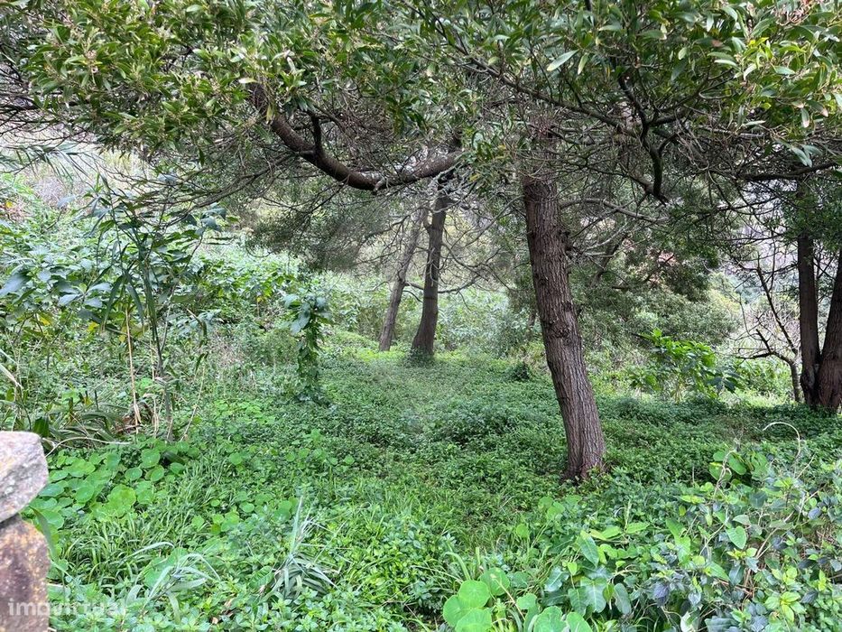 Terreno  para venda