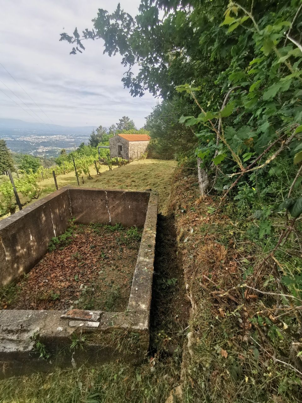 Terreno na zona do Caramulo