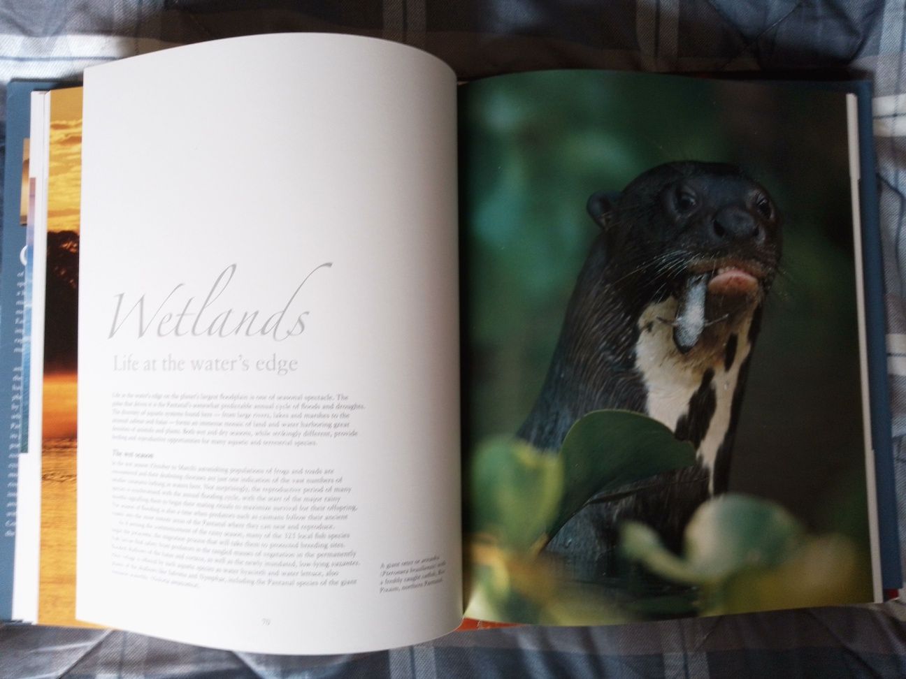 Livros de fotografia