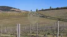 Terreno  para venda