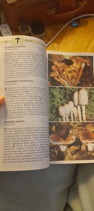 Przewodnik roślin, zwierząt i grzybów na wycieczce