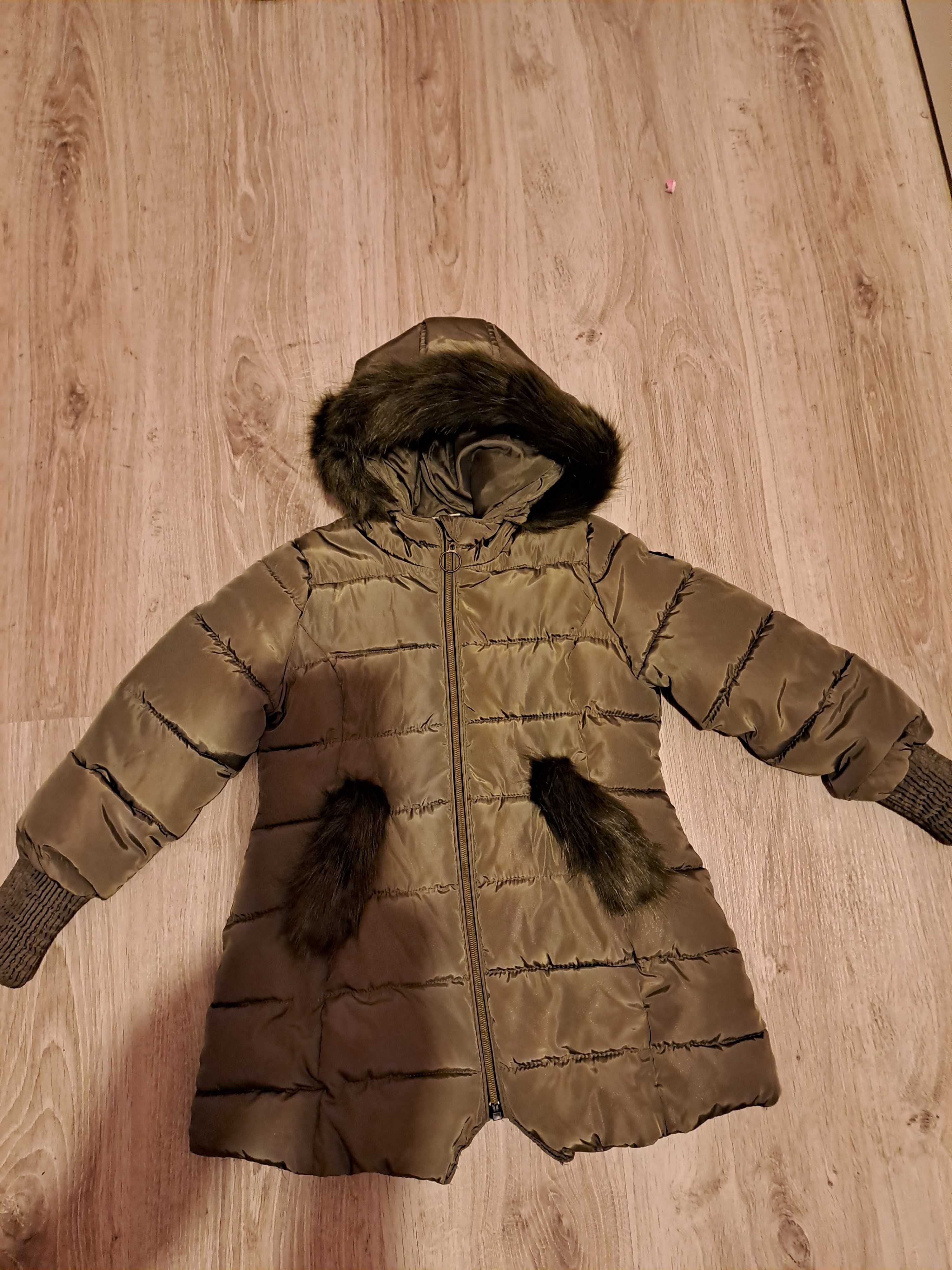 Kurteczka na zimę coccodrillo 104