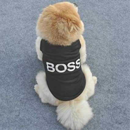 BOSS XS bluza dla pieska Pinczer York Maltanczyk