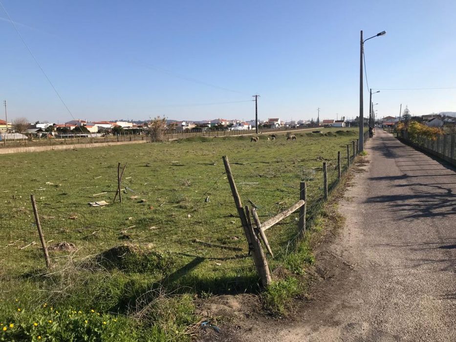 Terreno com 12000m2 nas  fazendas de almeirim