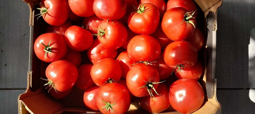 Świeże Warzywa dla Gastronomii Sklepów i Kebabów
