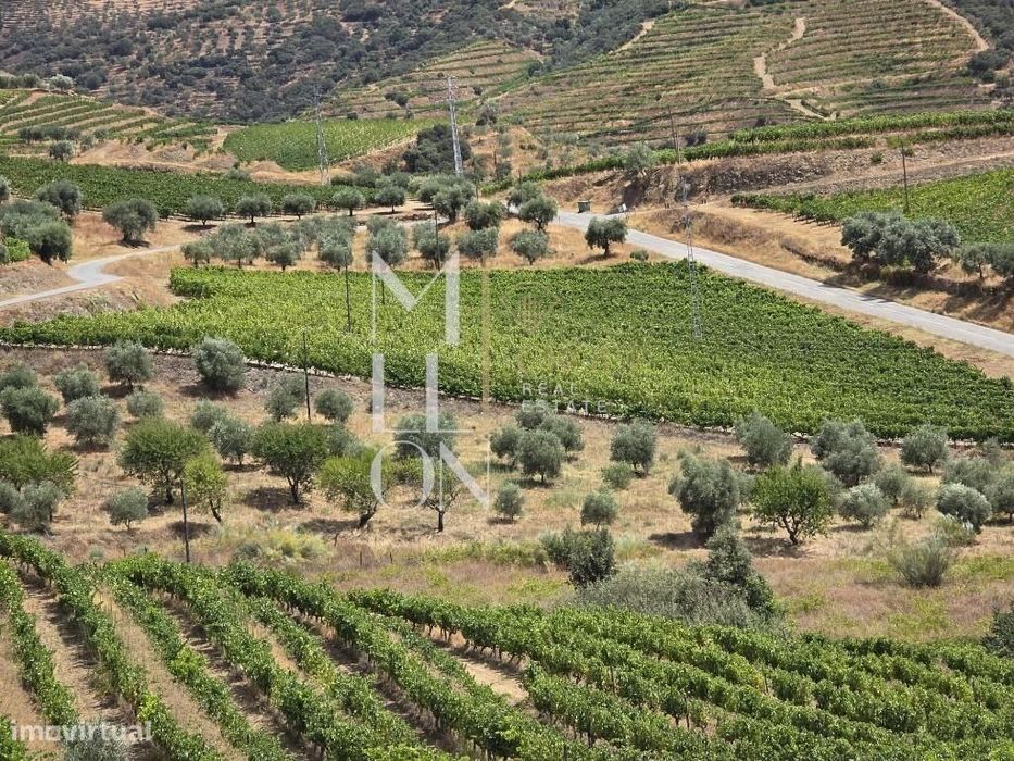 Quinta no coração do Douro Vinhateiro – Uma Oportunidade Única de Inve