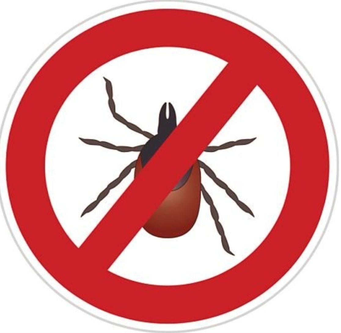 Stop kleszcze , komary , odkleszczanie metodą ULV