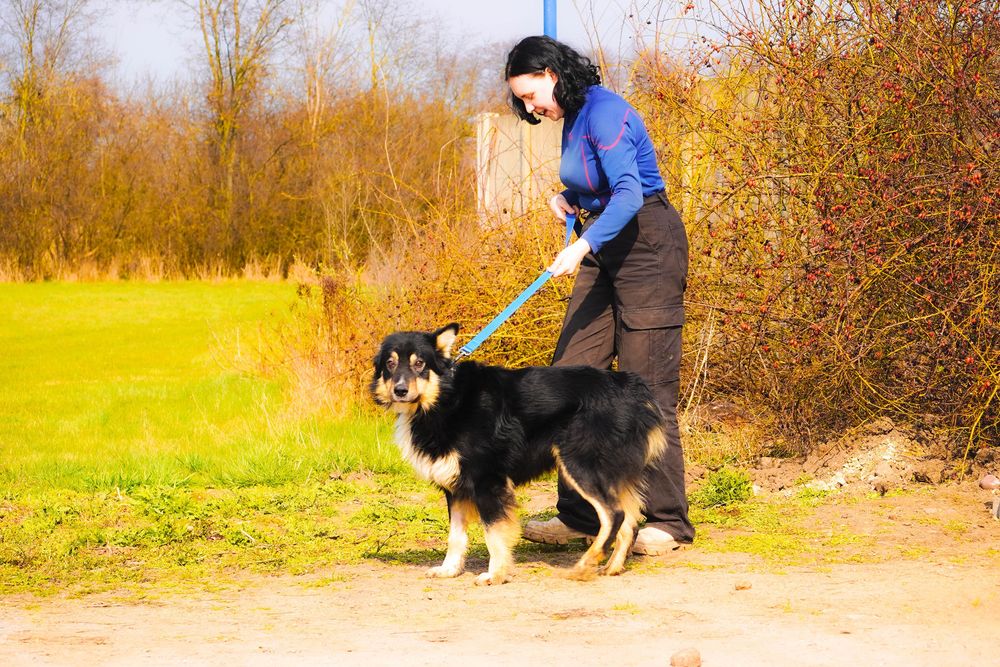 Baret psiak który czeka na domek