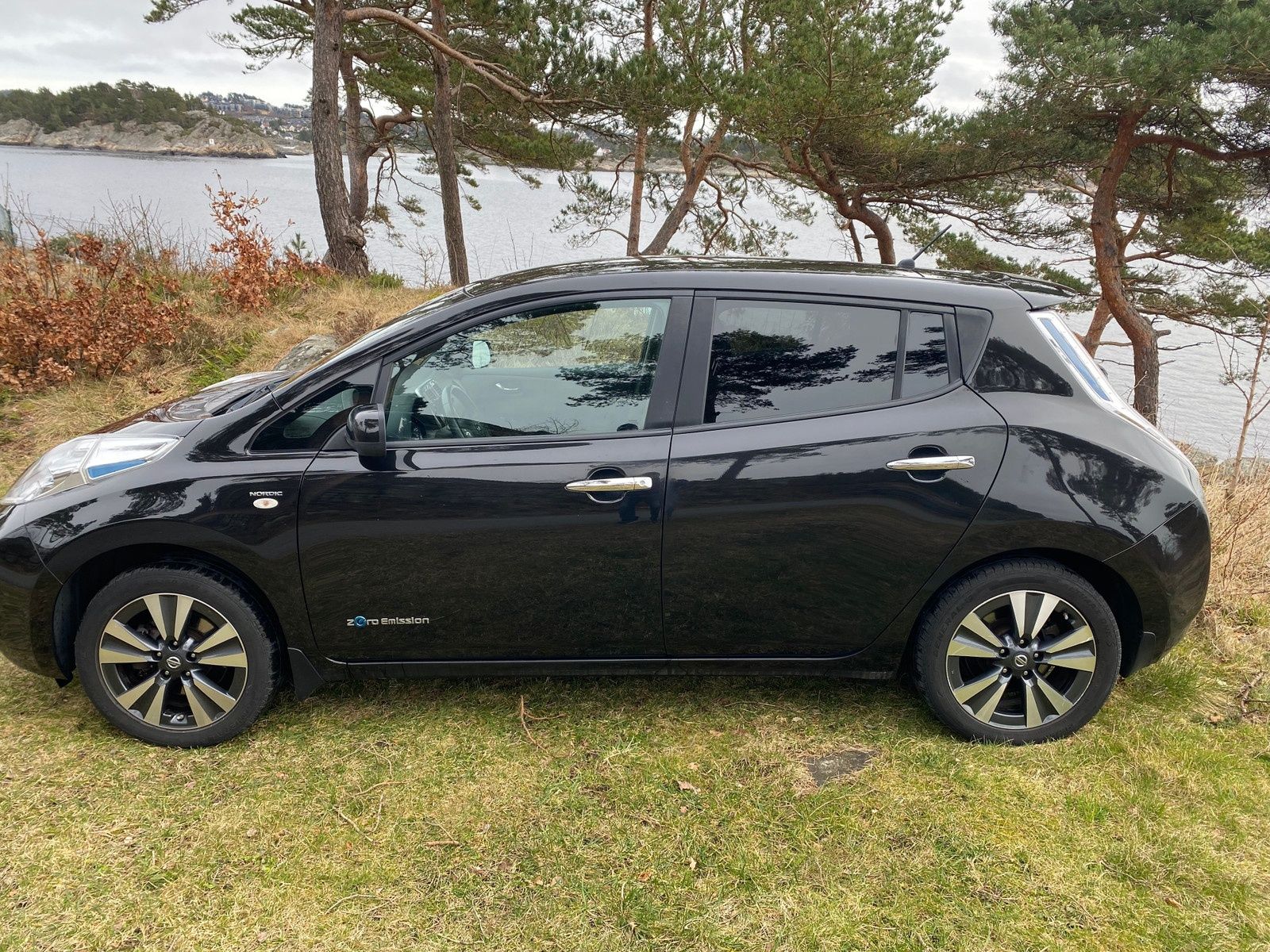 Nissan Leaf Nordic 2015р.11/12поділок з Норвегії