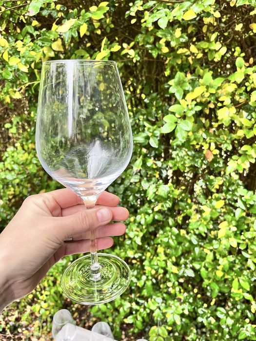 Бокали для білого вина Royal Boch