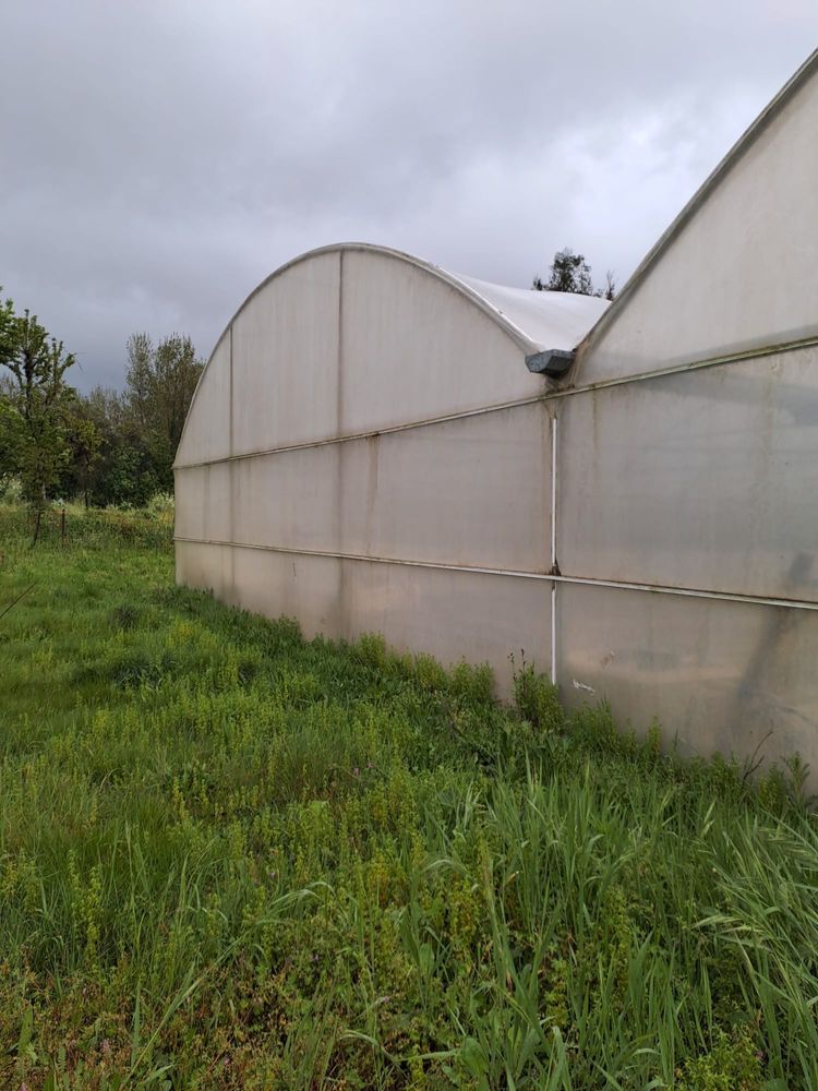 Estufa como nova 20x50m