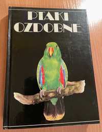 Ptaki Ozdobne - słownik