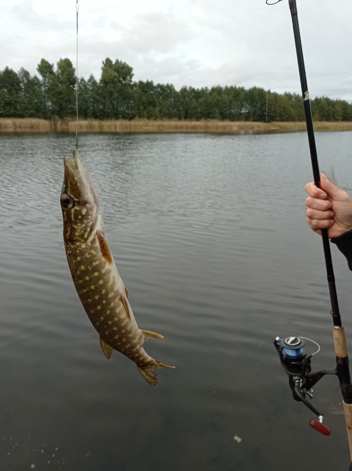 Domek z linią brzegową, balia, sauna, rowery