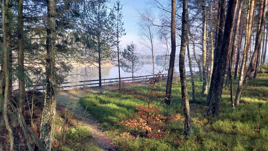 Domek całoroczny na Kaszubach nad jeziorem, k. Wdzydze,wolne terminy!