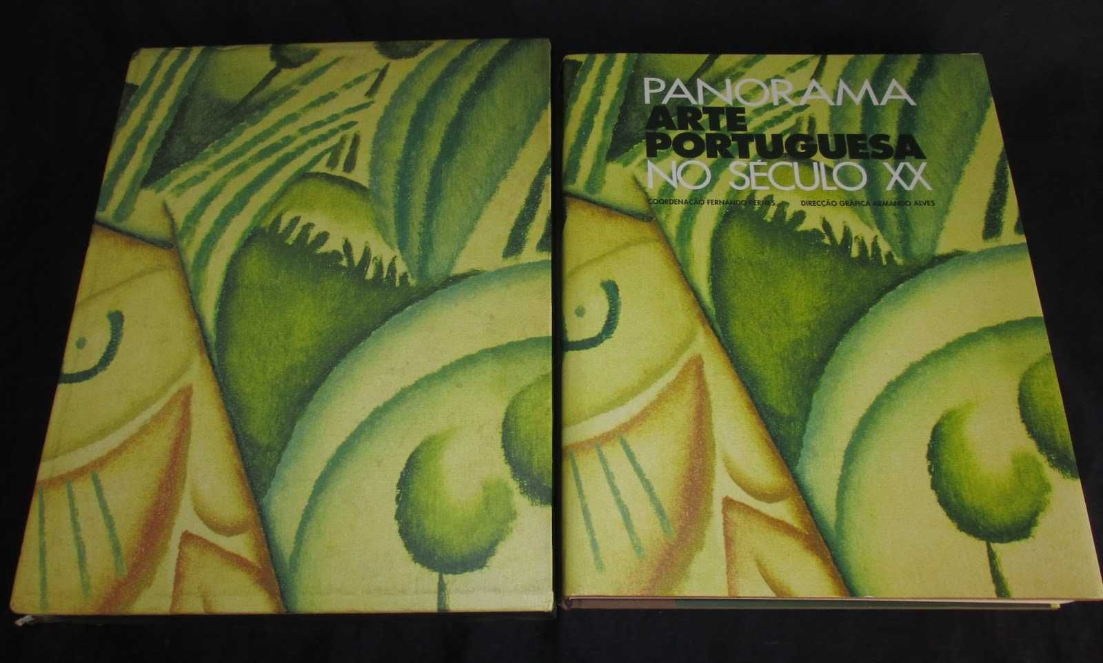 Livro Panorama Arte Portuguesa no Século XX Edição especial