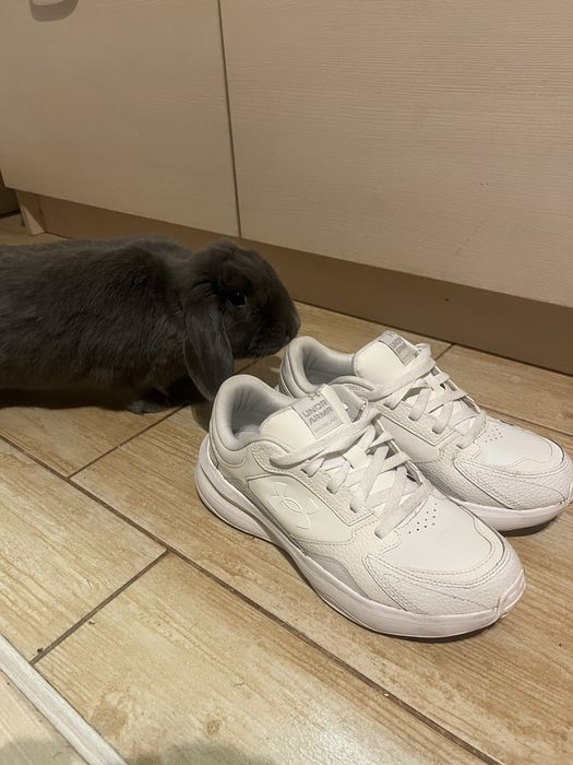 Buty Under armour 41 rozmiar