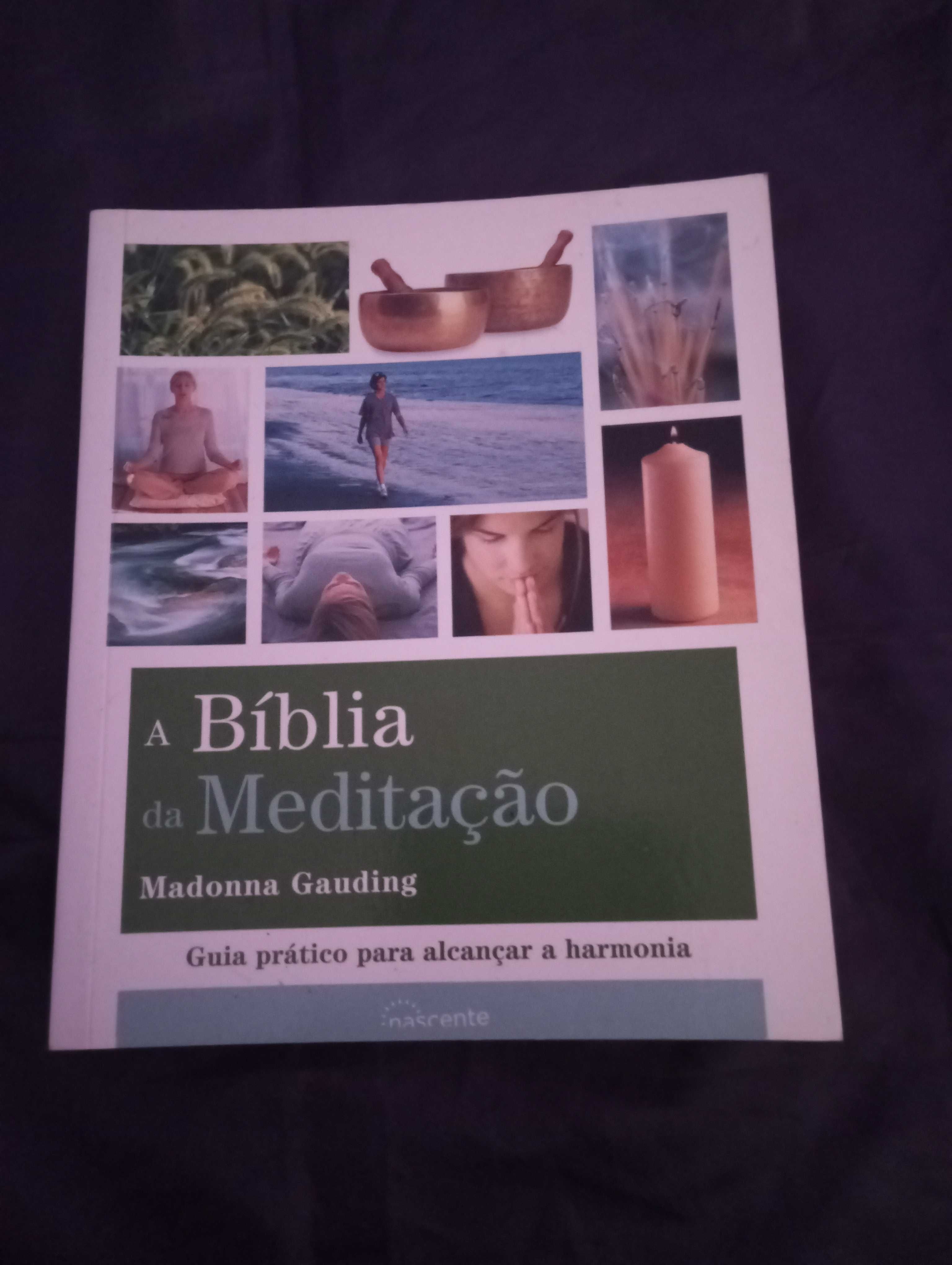 A Bíblia da Meditação - Madonna Gauding