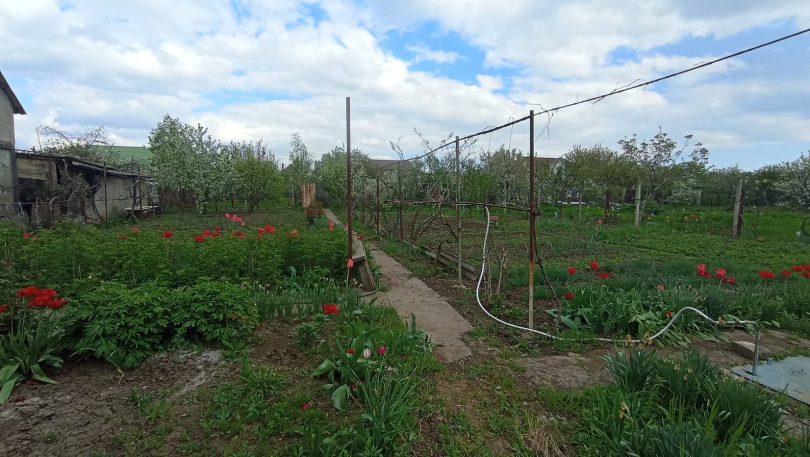 Продам дом дачу зимнего типа на берегу Тилигульского лимана