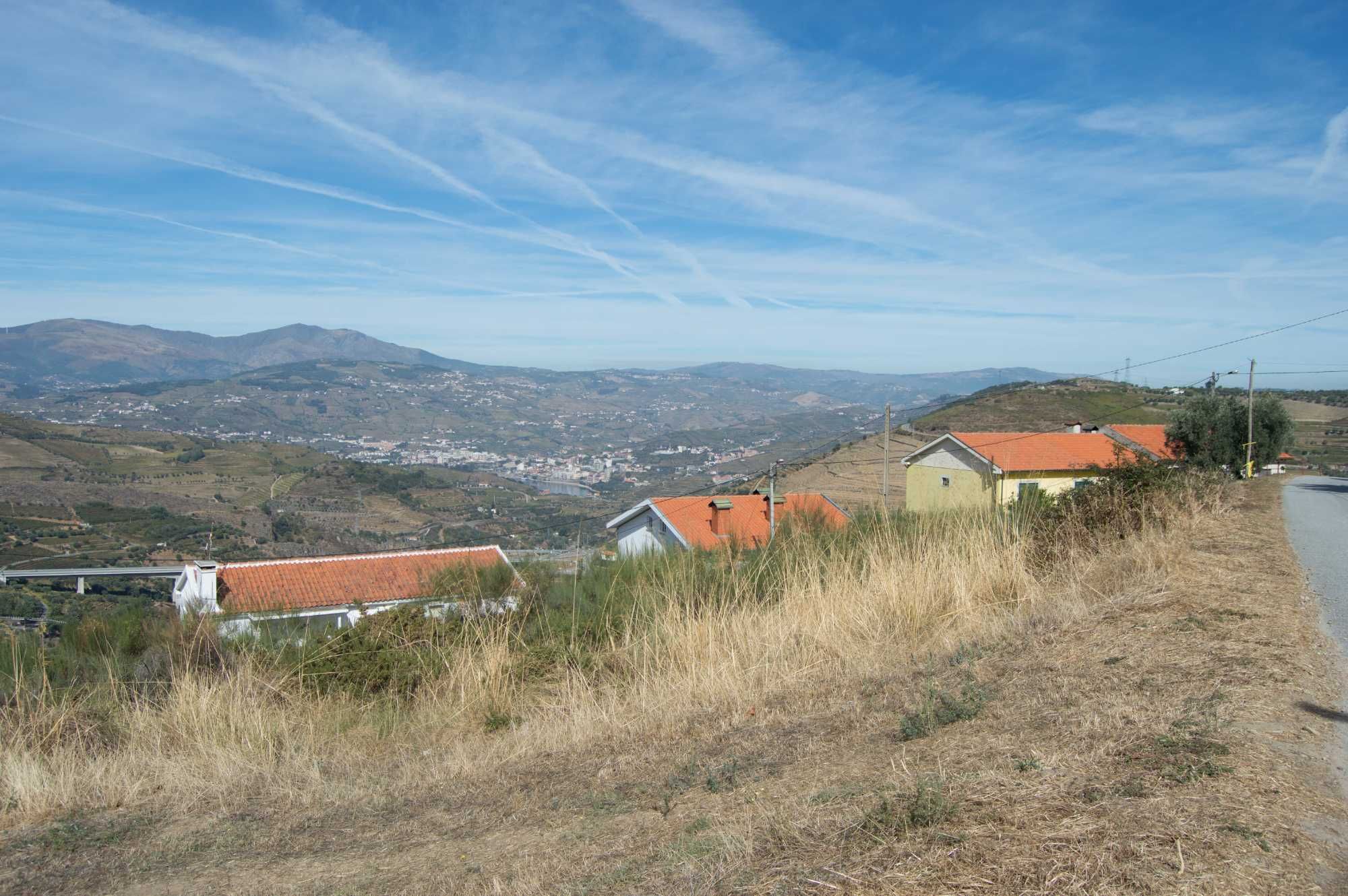 Terreno de vinha e construção (com benefício) frente de estrada