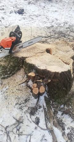 Wycinka i pielęgnacja drzew, usługi rębakiem