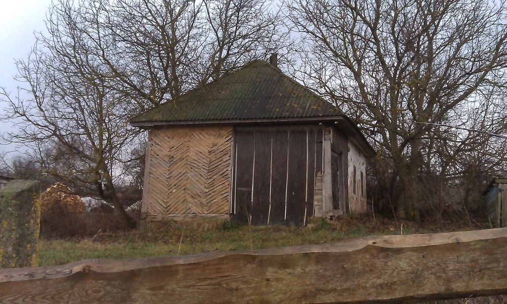 продам будинок з земельною ділянкою 38 соток