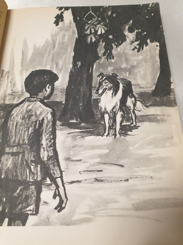 Stara Książka z 1965r. "Lassie wróć".