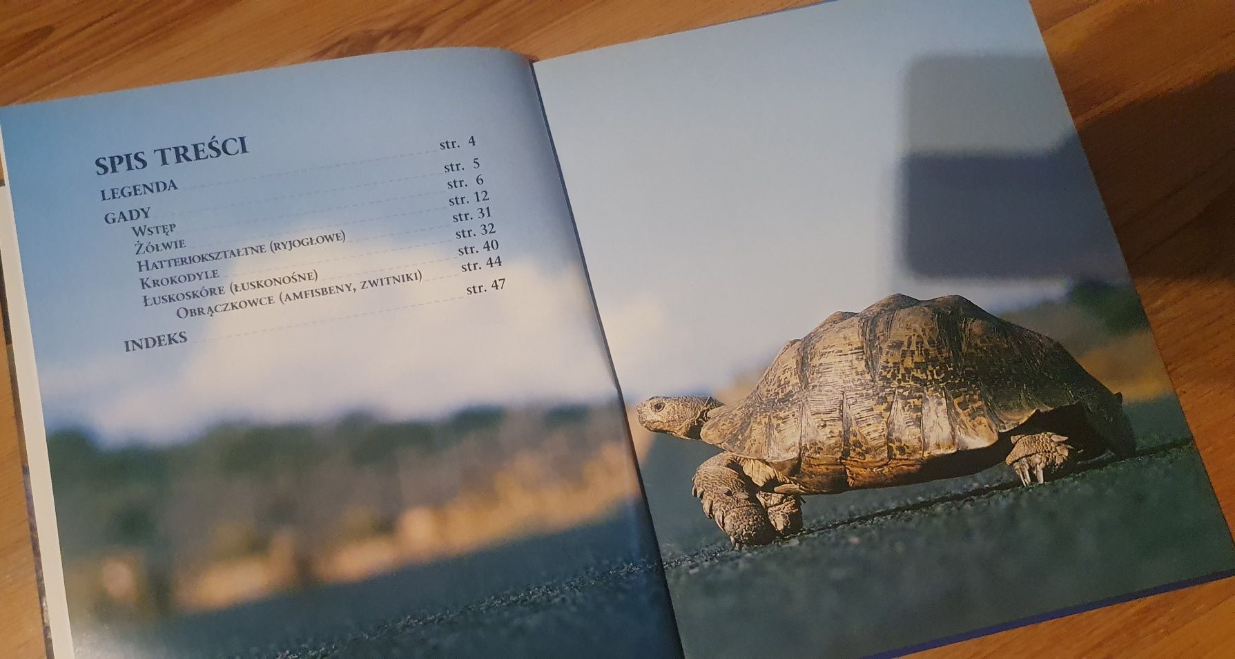 Encyklopedia zwierząt Gady