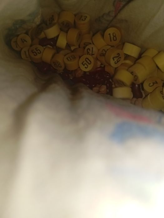 Jogo bingo não sei se é eta completo sem cartões