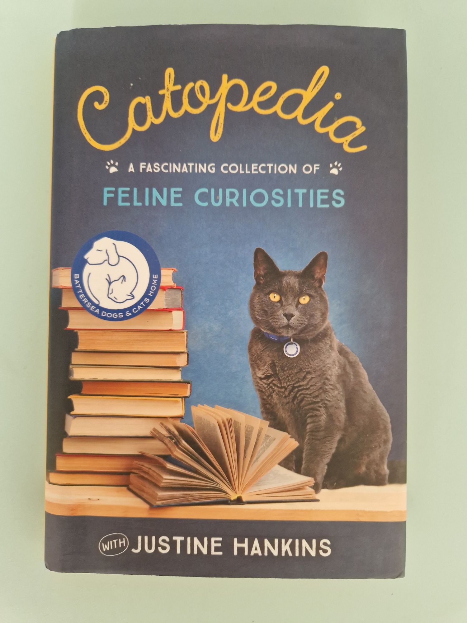 Catopedia.po angielsku.koty