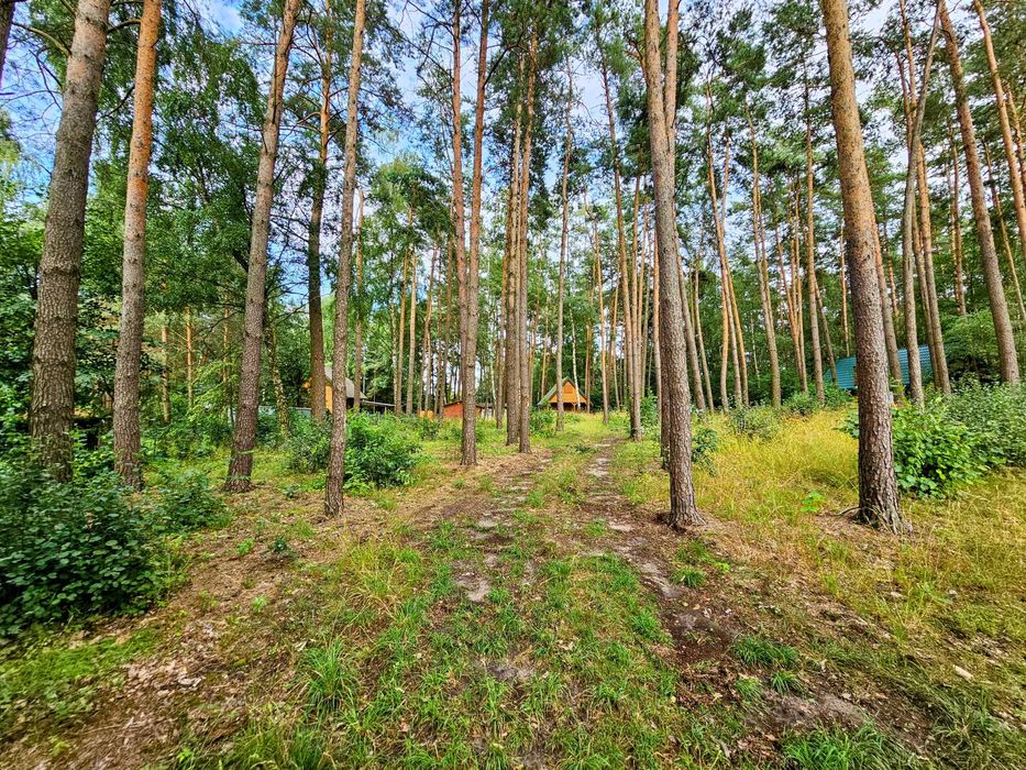 działka w pierwszej linii brzegowej widokiem na jezioro w lesie Mazury