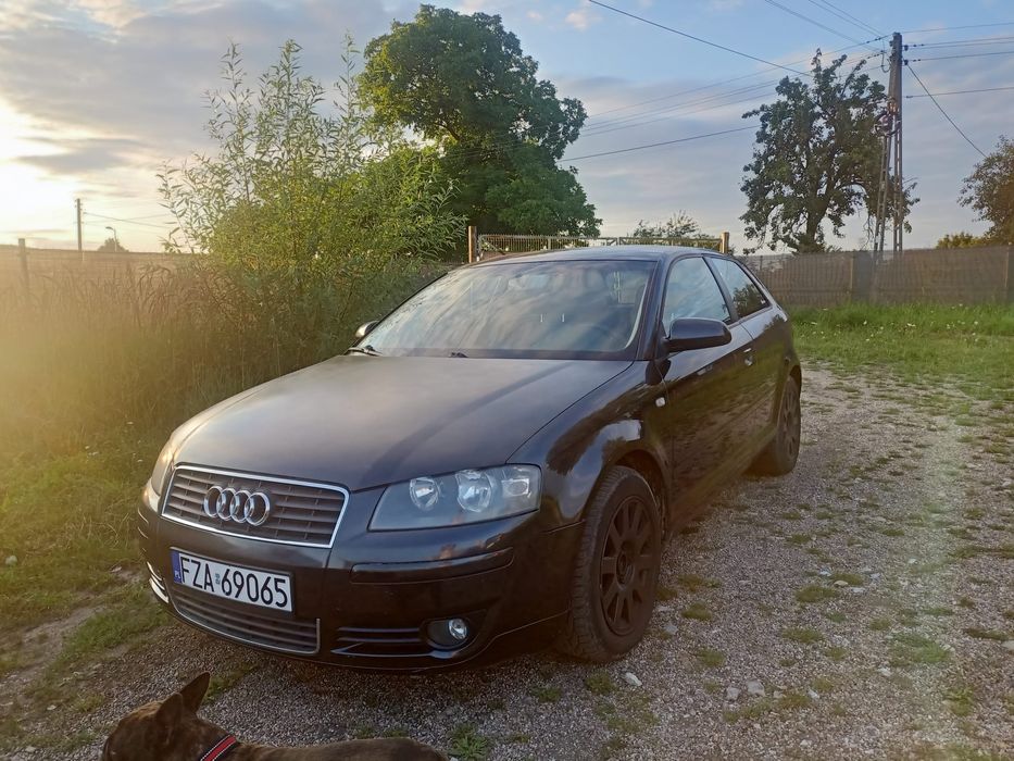 Audi a3 8p 2.0 fsi benzyna zamiana
