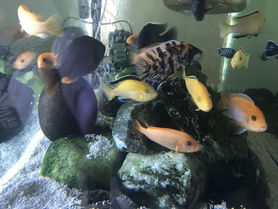 Аквариум Resun lr 1000