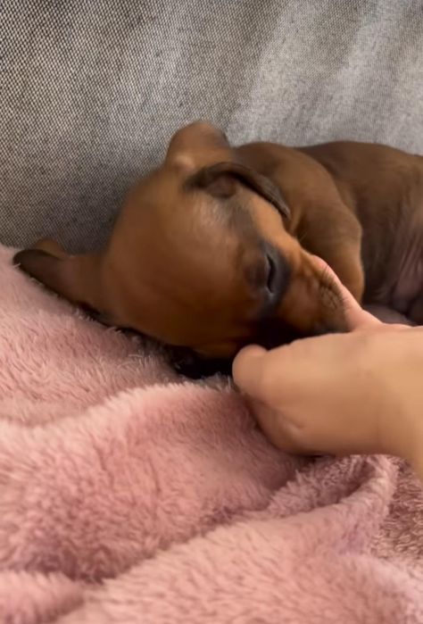 Рудий хлопчик такси