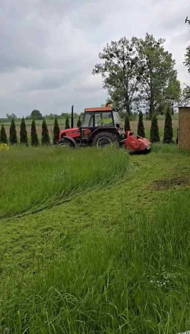 Kompleksowe sprzątanie posesji (wycinka drzew, wywóz gruzu, gabarytów)